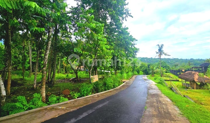 Land in Seraya, Karangasem, Bali with Hill and Sea View, Itr Kuning