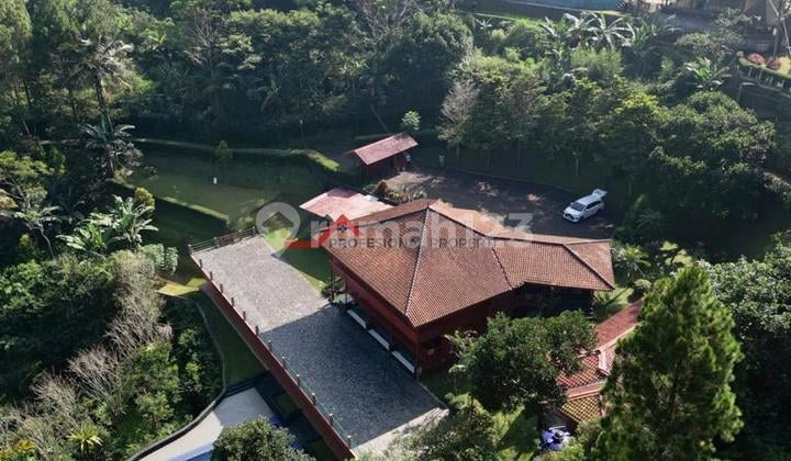 Villa Mewah Di Puncak Siap Untuk Di Sewakan Kembali Luas 3000 M2