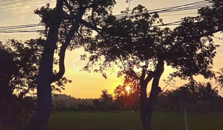 Dijual Villa Di Bibir Pantai Pelabuhan Ratu Ada 20 Unit Villa