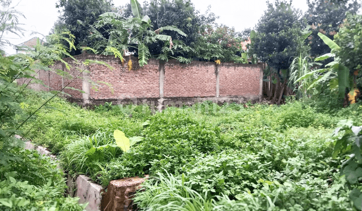 FOR SALE Cheap Land Ready to Build in Pedurungan Semarang