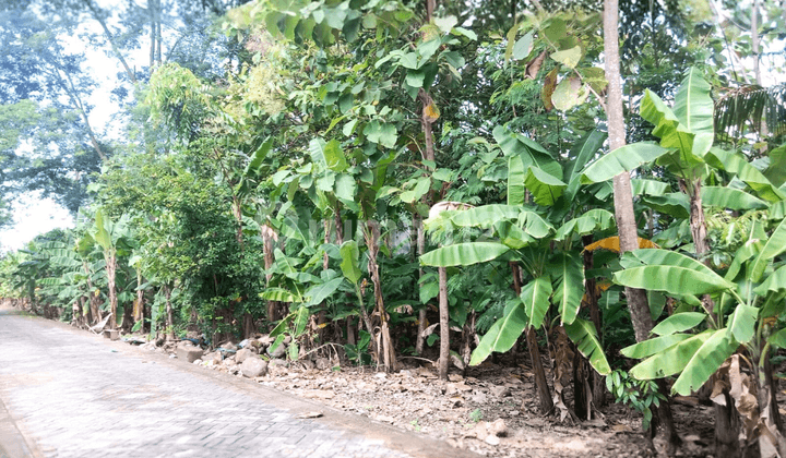 Jual Tanah Bentuk Kotak Siap Bangun di Taman Tlogomulyo Pedurungan Semarang