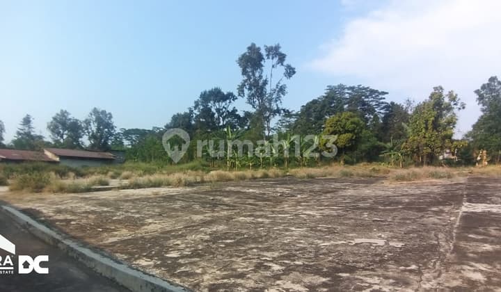 Ready-to-Build Solid Land on Pantura Street, Kademangan, Batang.
