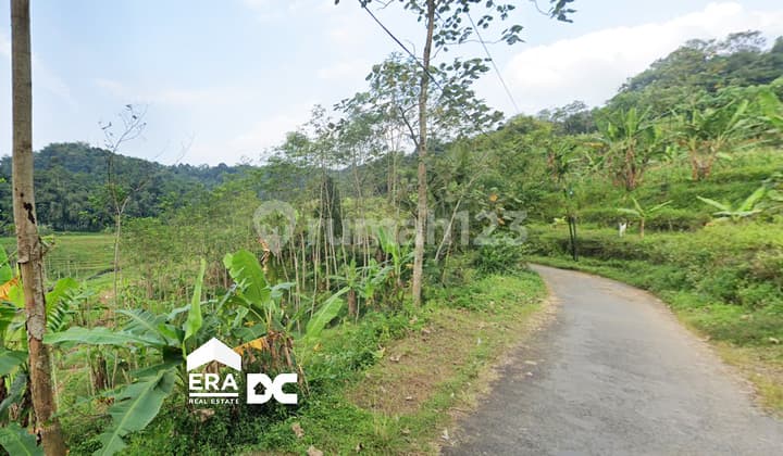 Tanah Cocok untuk Perkebunan Dekat Wisata Budaya Iriban Kendal