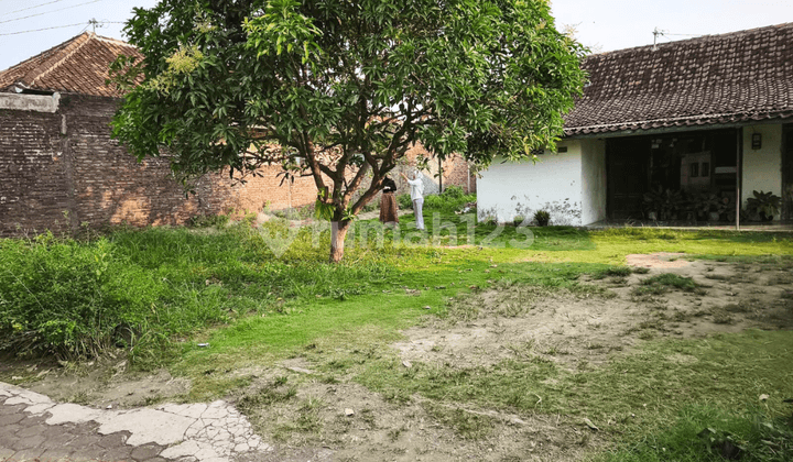 Tanah Ada Rumah Dengan Halaman Luas di Jalan Utama Weleri Kendal