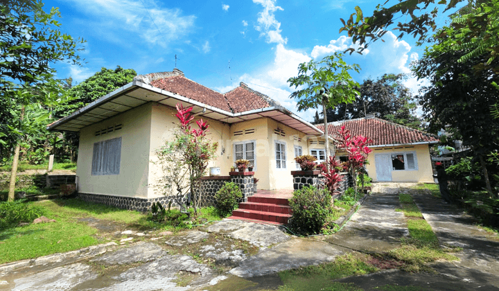 Heritage House in the City Center with a Large Yard in Osamaliki Salatiga