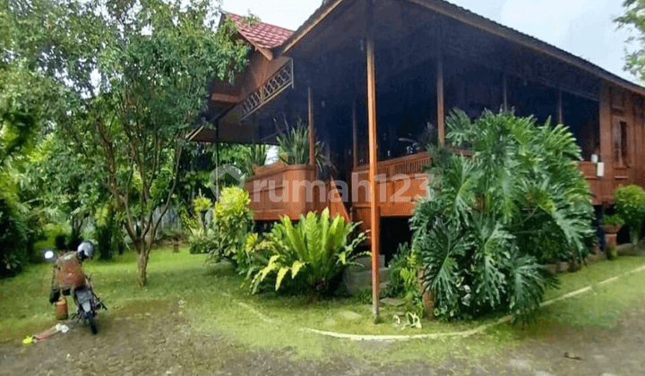 Unique! Elevated Wooden House with a Spacious Yard Only Around 2 Million/m² in Maron Hamlet, Sleman