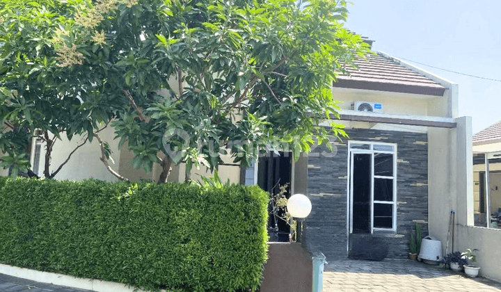Rumah Minimalis Siap Huni Bukit Elang Residence Tembalang Semaran