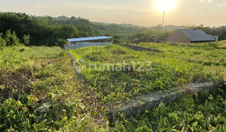 Jual Tanah Cocok untuk Gudang Harga Dibawah NJOP di Wonosari Ngaliyan Semarang
