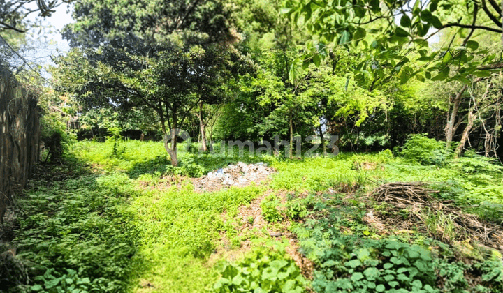 Jual Tanah Siap Bangun Akses Jalan bisa di Lalui Truk Besar di Gedong Mulyo Lasem Rembang