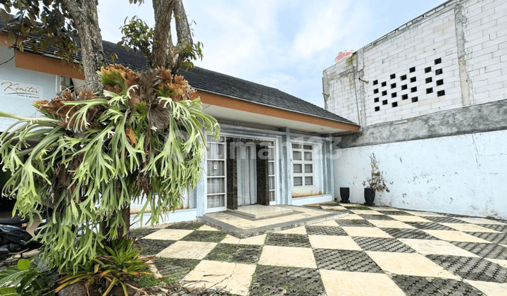 Jual Ruang Usaha Ada Halaman Hijau Luas Cocok untuk Cafe di Mulawarman Semarang