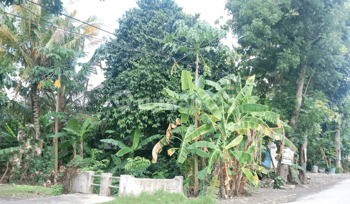 Jual Tanah Posisi Hook Cocok untuk Segala Usaha di Taman Tlogomulyo Pedurungan Semarang