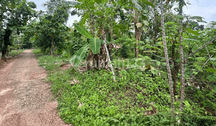 Lahan 46 Hektar Harga 600 Rb Nego Dekat KITB di Gringsing Batang