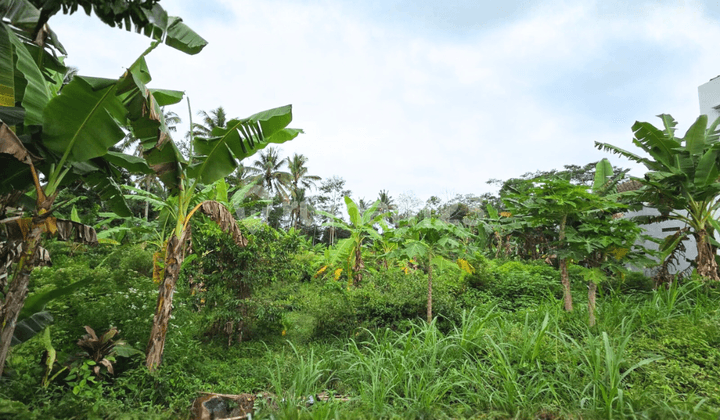 Tanah 1,5 jt/m2 Cocok Untuk Perumahan Dekat Terminal Tingkir di KH Syuhudi Salatiga