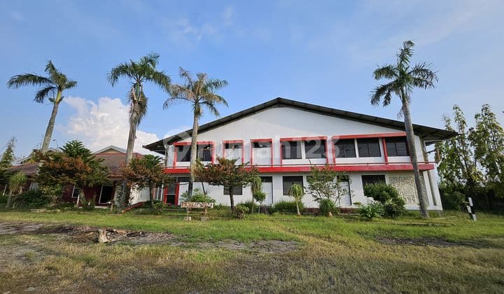 Gudang Ada Kantor Luas di Area Industri Sayung