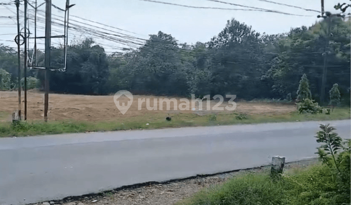 Jual Tanah 5 Hektar Cocok untuk Gudang di Jalan Raya Jepara-Bangsri Mlonggo