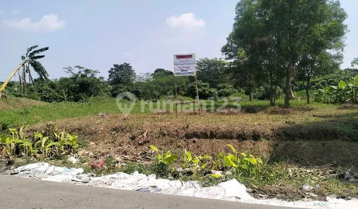 Tanah Darat Padat.di Jual. Siap Bangun.berdampingan Dengan Tanah Gajah Tunggal