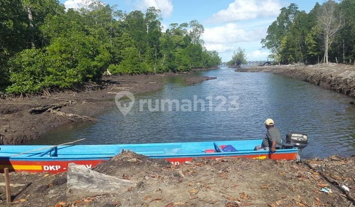 Tanah Wisata Raja Ampat Depan Pelabuhan Waisai Di jual