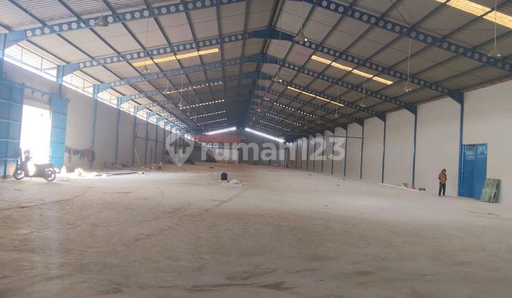 Industrial Warehouse for Rent. Near the Airport. 40 Feet Access. Ready to Occupy. Within the Industrial Area.