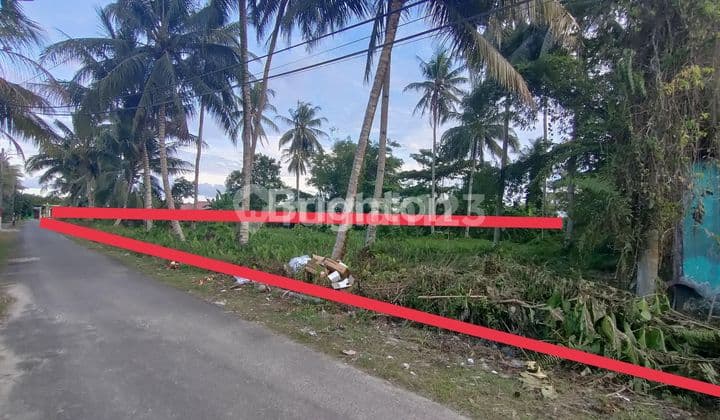 DIJUAL TANAH MULAWARMAN LAMARU