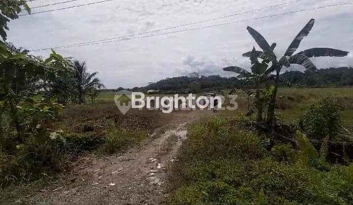 BALIKPAPAN, TANAH DIJUAL WONOTIRTO SAMBOJA (Z003)