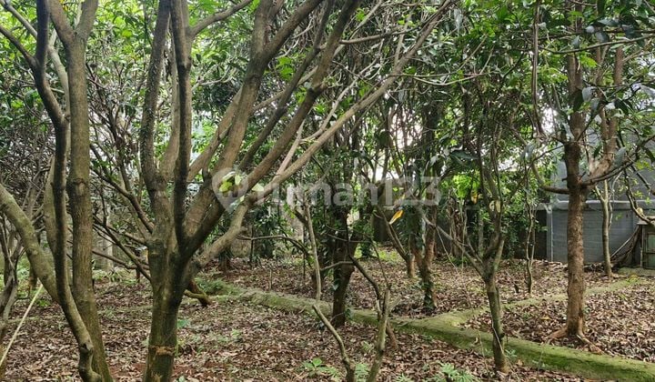Jual Cepat Kavling Bsd Griya Loka