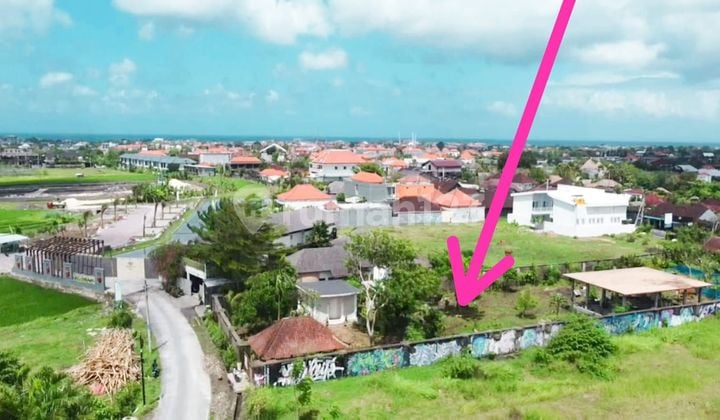 Land on the main road of Batu Bolong Canggu