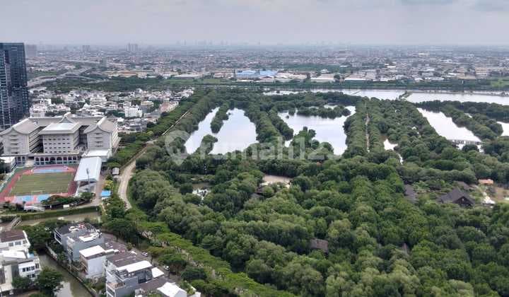 Disewakan murah apartemen gold coast std develop view city siap survey