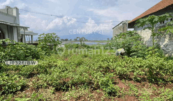 Dijual Tanah Siap Bangun Lokasi Strategis di Rancaekek Bandung