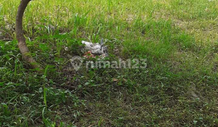 Dijual Tanah Kavling Bsd Siap Bangun Lokasi Strategis Kencana Loka