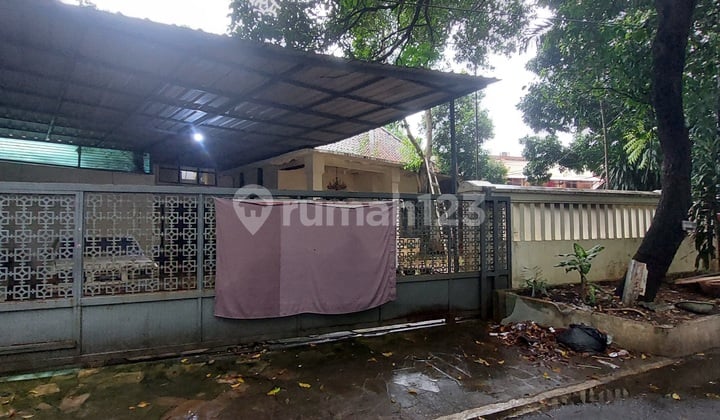 Rumah Asri 1 Lantai di Jl Surabaya, Menteng. Dkt ke Jl Sudirman & Kuningan