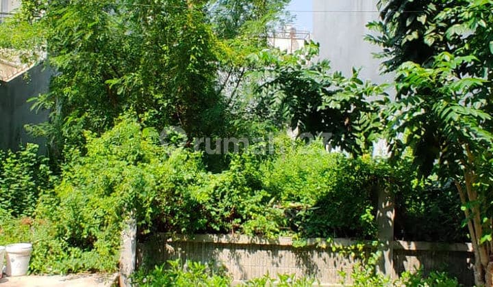 Dijual Cepat Tanah Kavling di Jl. Bisma Raya, Tj. Priok, Jakut