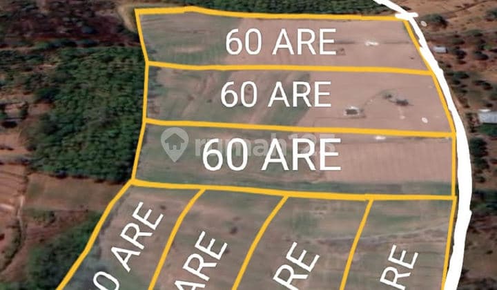 Land for sale at the foot of Bukit Pucuk, Gesing, Bali