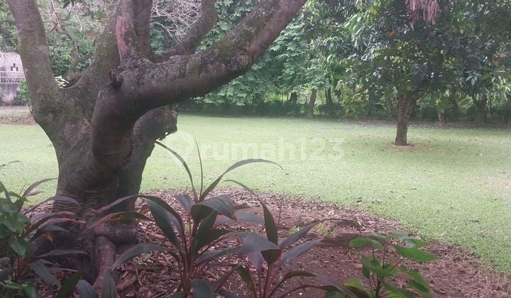 Lahan Di Serua.ciputat Lebar 50m Dekat.kawasan Bintaro