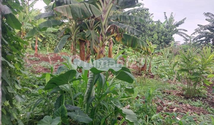 Lahan Bagus Strategis Jakarta Selatan Akses Toll