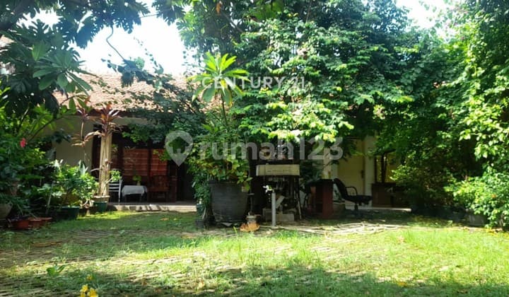 Rumah Hitung Tanah Pejaten Pasar Minggu Harga Menarik Strategis