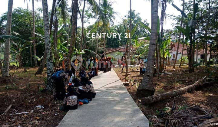 For Sale Spacious Plot at Attractive Price in Purworejo, Central Java