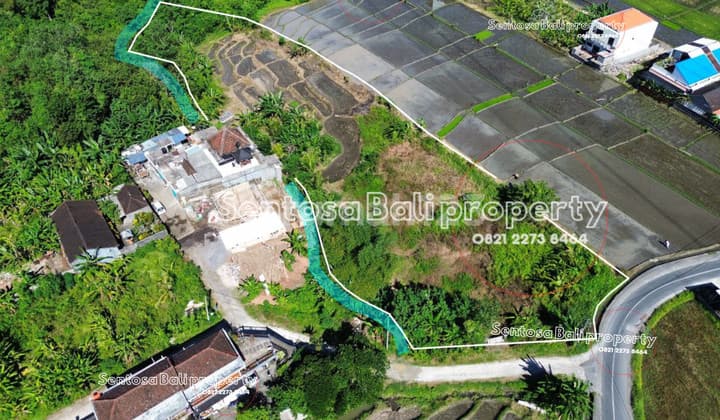 Freehold - Tanah 4375m2 desa Belalang Tanah lot kediri Tabanan