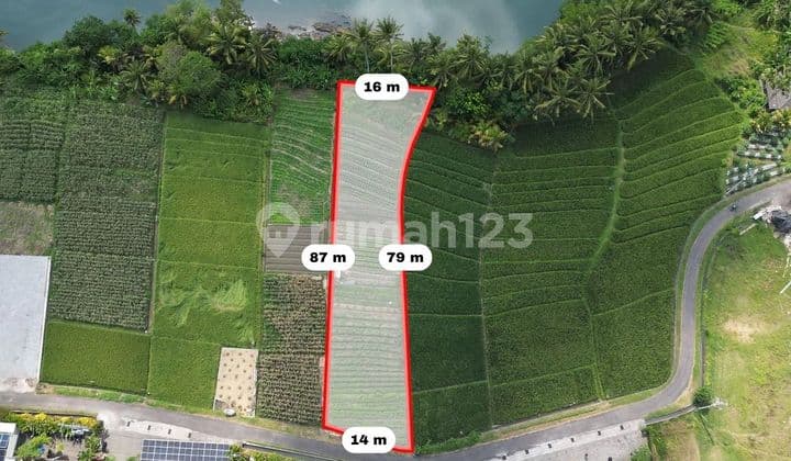 Tanah 1470m² di Pasut Kerambitan Tabanan , Lingkungan Villa