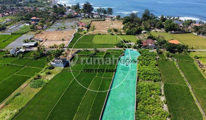 Tanah Murah 3390m2 Dekat Pantai Padang Legi Keramas Gianyar