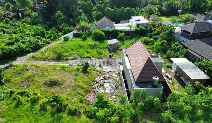 Tanah murah di Pererenan Canggu 1230m2 - 5 menit ke Pantai