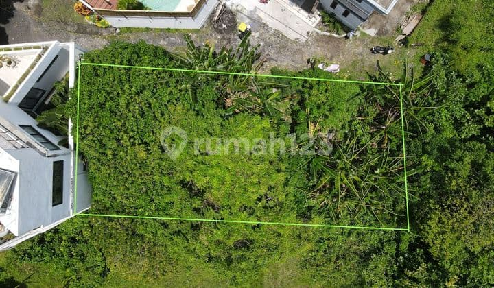 Tanah Murah Tegal Cupek Umalas 307 M²