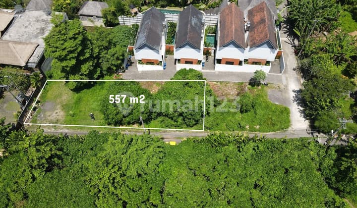 Land in Lodtunduh - Ubud - Pink Zone (Tourism)