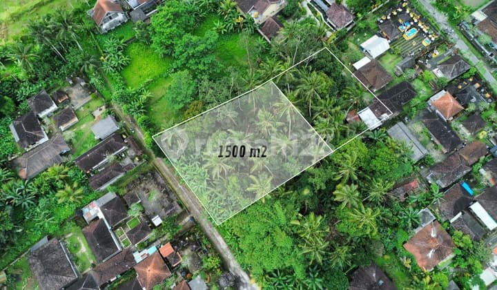 Land for lease in Ubud - 1500m2 Pejeng Ubud