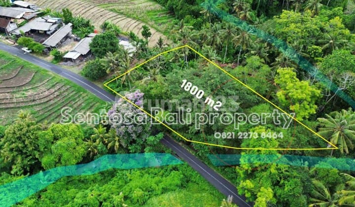 Tanah 1800 M2 di Beraban Selemadeg Tabanan