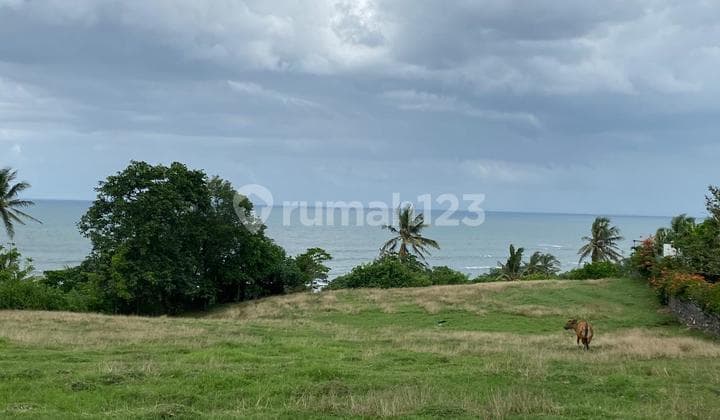 Tanah View Laut Lalang Lingah Beach Tabanan 6625M2
