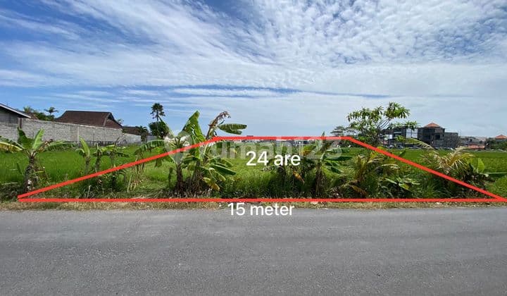 Land For Lease 2400sqm In Cemagi Canggu Bali