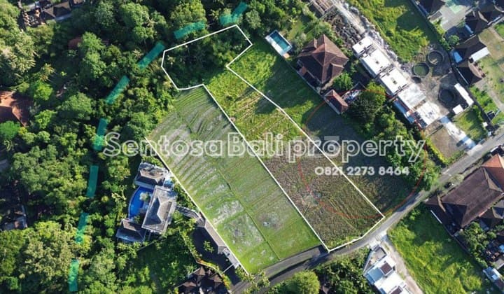 Land for lease 4285m2 - Buwit Beraban Tabanan Bali