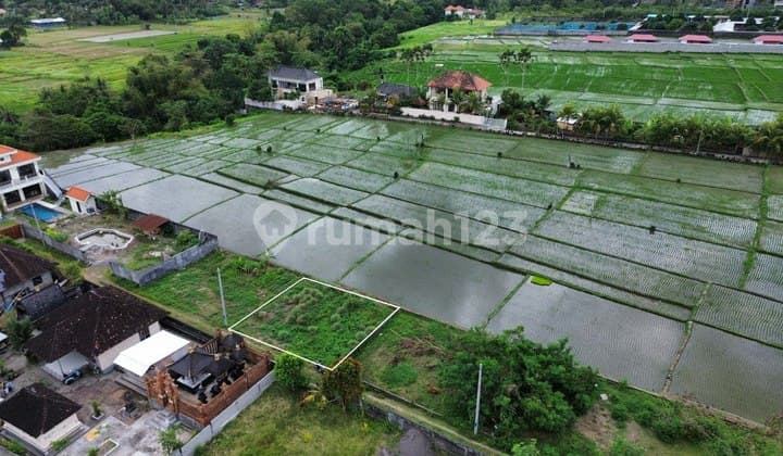 Land View rice field Green Belt - Kaba Kaba Tabanan 200m2
