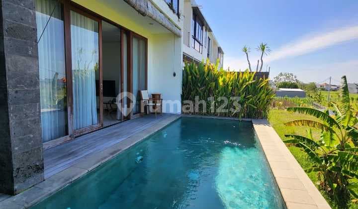 Minimalist Modern Villa with Rice Field View in Kerobokan