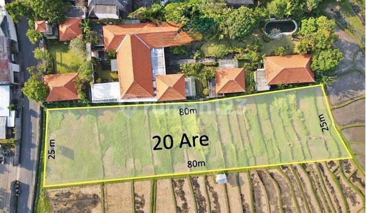 Land in Bumbak Umalas 20 Are - Near Canggu Shortcut